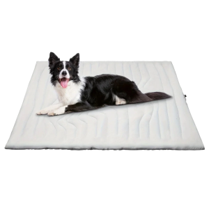 Clorant Dog Cooling Mat