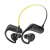 Black & Yellow